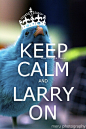 ❤ Keep Calm and ......、keep calm and、英文、言语、tumblr.com