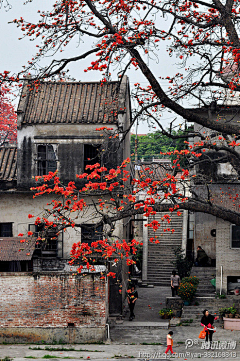 zhoukuaile采集到风景