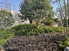 AT·sweet采集到长沙建发玖州和玺