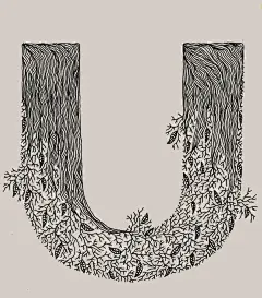 丛林字体设计 ----ifavart.com(辣椒酱)-最出色的视觉艺术分享