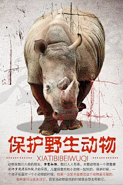 保护野生动物公益宣传海报