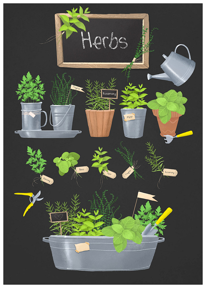 Herbs Garden on Beha...