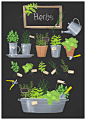 Herbs Garden on Behance