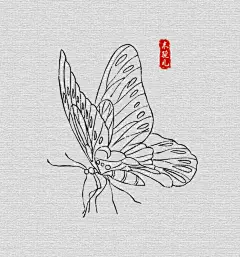 蝴蝶线描/不同形态的蝴蝶线描练习 - 小红书