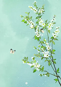 白鹃梅