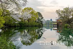 杭州西湖春景雷峰塔 - 图虫创意图库正版图片,视频,插图,微博微信公众号配图,自媒体素材