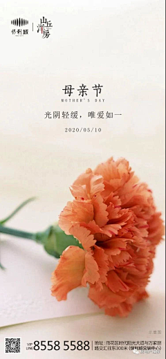 房地产海报采集到【母亲节精选】 地产海报合集