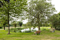 德国卢森堡，公园景观改造 Parc Kaltreis / Förder Landschaftsarchitekten – mooool木藕设计网