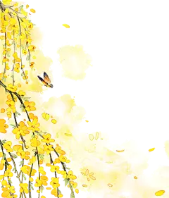 迎春花元素图片设计素材