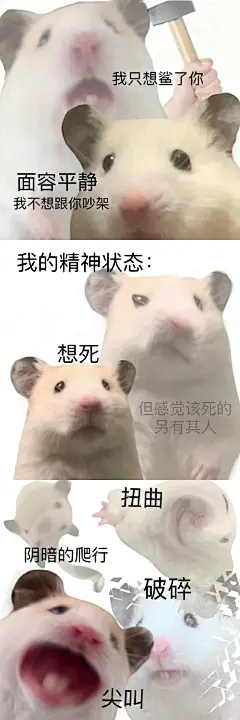 鼠鼠表情包
