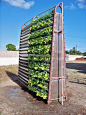 垂直农场（Babylon Garden Vegetative Module）：来自Fibratom公司的创意，这套系统能在垂直方向上种植花卉、水果和蔬菜，并有效利用家庭生活垃圾来进行堆肥。