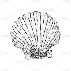 贝壳雕刻。全景海洋或海景海滩景观。海滩的向量例证与游艇和水波。黑白手工画书法.