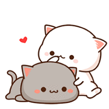 蜜桃猫表情包动态