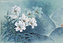 Avril先生采集到工笔画，国画，花鸟