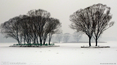 我想做个坏人采集到雪国