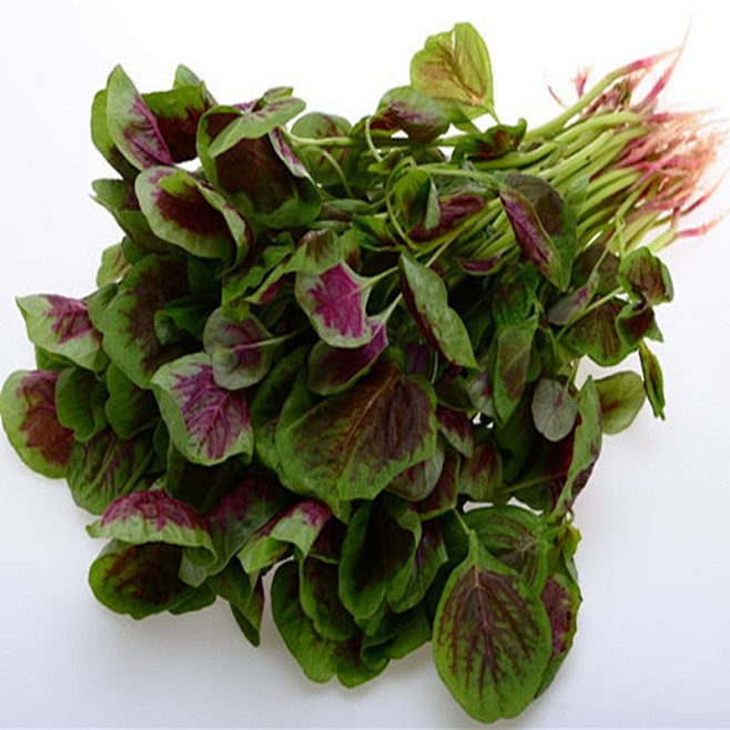 农家自种新鲜蔬菜红米苋苋菜红苋菜一份700g图片价格品牌报价京东