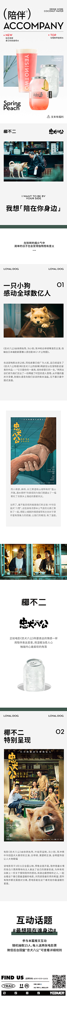 公众号推文+头图-花瓣网|陪你做生活的设计师 | 水墨风清明节微信公众号头图