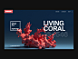 Pantone Color of the Year: Living Coral : My first attempt at using X-particles! Still got so much to learn... the render came out pretty janky but it also helped me to come up with this concept for the 2019 Color of the Year by Pantone.

...