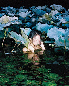 雨下的鱼采集到构图