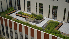 LTTT07采集到屋顶花园/庭院设计