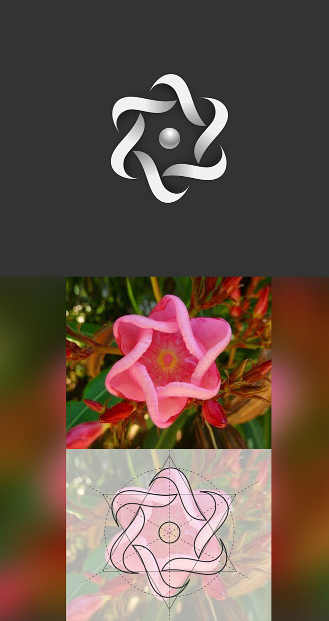 Flower-star-logo-des...