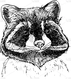 动物,插画,黑白图片,涂料,可爱的,几何形状,灰色,小的,坐,站