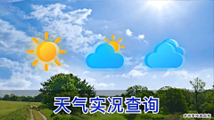 -小柒采集到信息流【横】