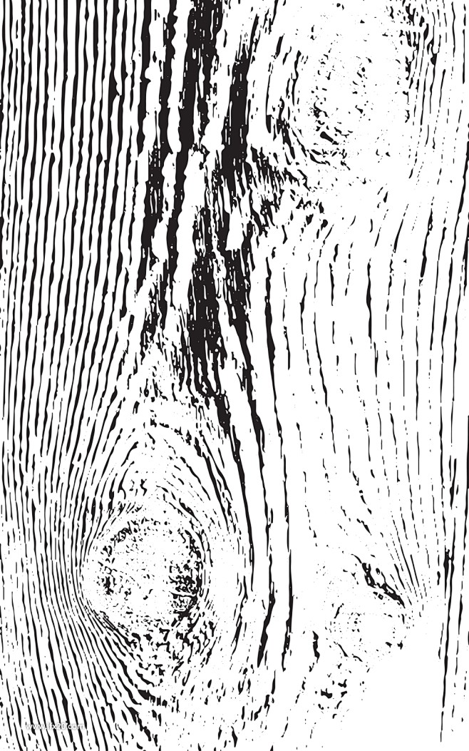 木板树纹材质纹理 (18)