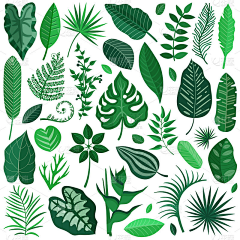 皮冻儿采集到植物