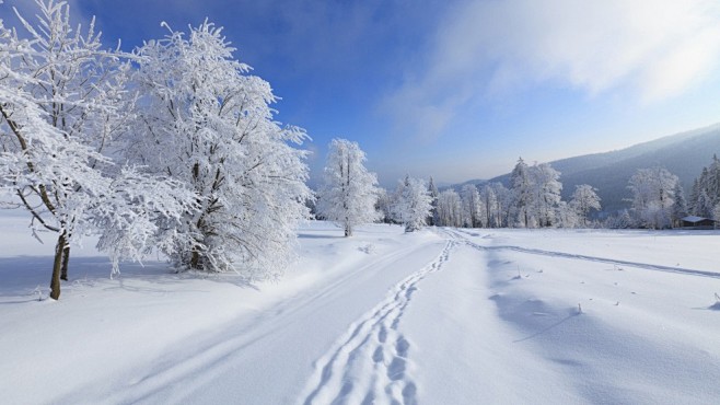 冬季清新唯美雪景桌面壁纸