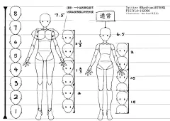 同人图 插画 壁纸 | 通用型女性人体的比例2-9頭身 | 半次元-第一中文COS绘画小说社区