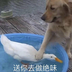 我是白粥粥采集到？？？