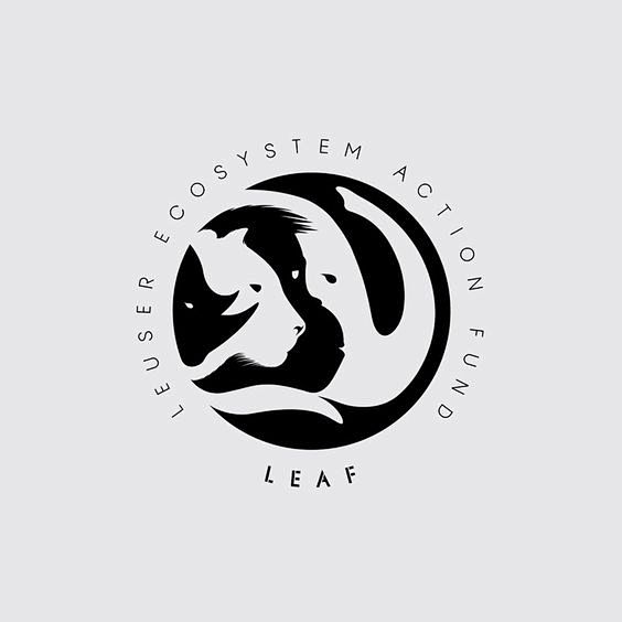 动物logo