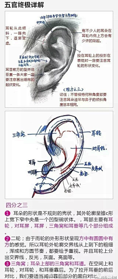 恩七seven采集到画法