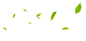树叶01