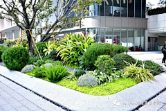 tamamaqi采集到学校
