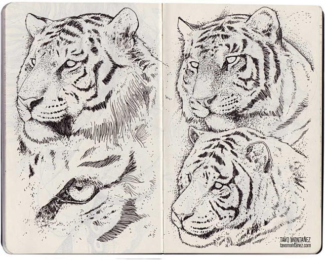 Moleskine V : Some p...