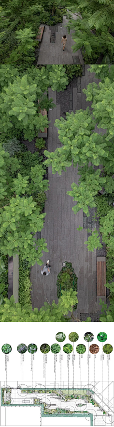 植物—林下空间、主题林、树阵、-花瓣网|陪你做生活的设计师 | 自然教育’