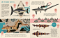 Smart about Sharks - Owen Davey Illustration