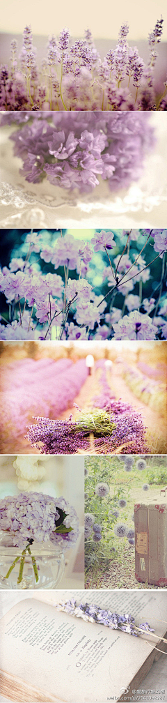 1m1m采集到花花世界