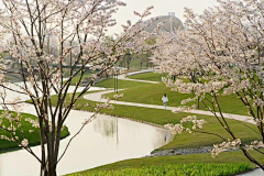 小熊花卷采集到自然湖景