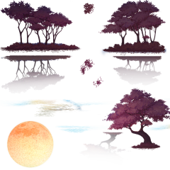 MUmer采集到套图