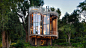 A Contemporary Tree House Near Cape Town, South Africa : Now that we have reached adulthood, when we hear mention of a tree house, we remember our childhoods and think of time spent in fairly small spaces, sparsely furnished, if at all, and of tiny struct