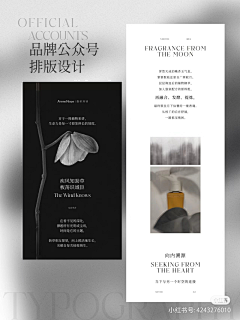 池叙哎采集到公众号排版