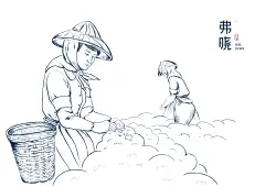 弗晓茶坊VI设计插画设计 - 长春毒柚设计-专业的品牌与包装设计公司