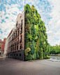 位于西班牙马德里的垂直花园，位于马德里当代艺术博物馆Caixa Forum之前，是目前世界上种植最好