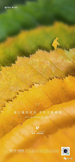 FRESHONE采集到活动海报