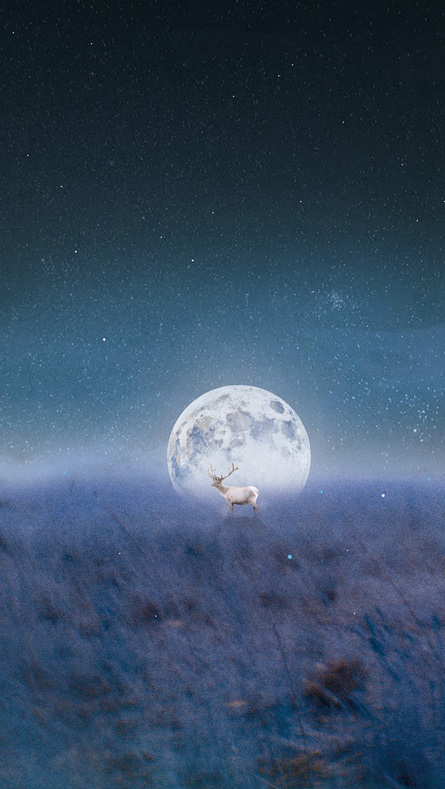 超梦幻夜晚插画