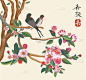 樱花鸟