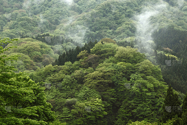 绿山